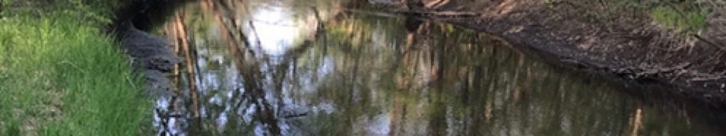 IMG 5552 pa6f3p240syzltk82zqrwvasqcvi1lvl561bhhanqw